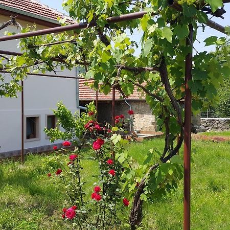 Guest House Art Eco Land Ganchovets Zewnętrze zdjęcie