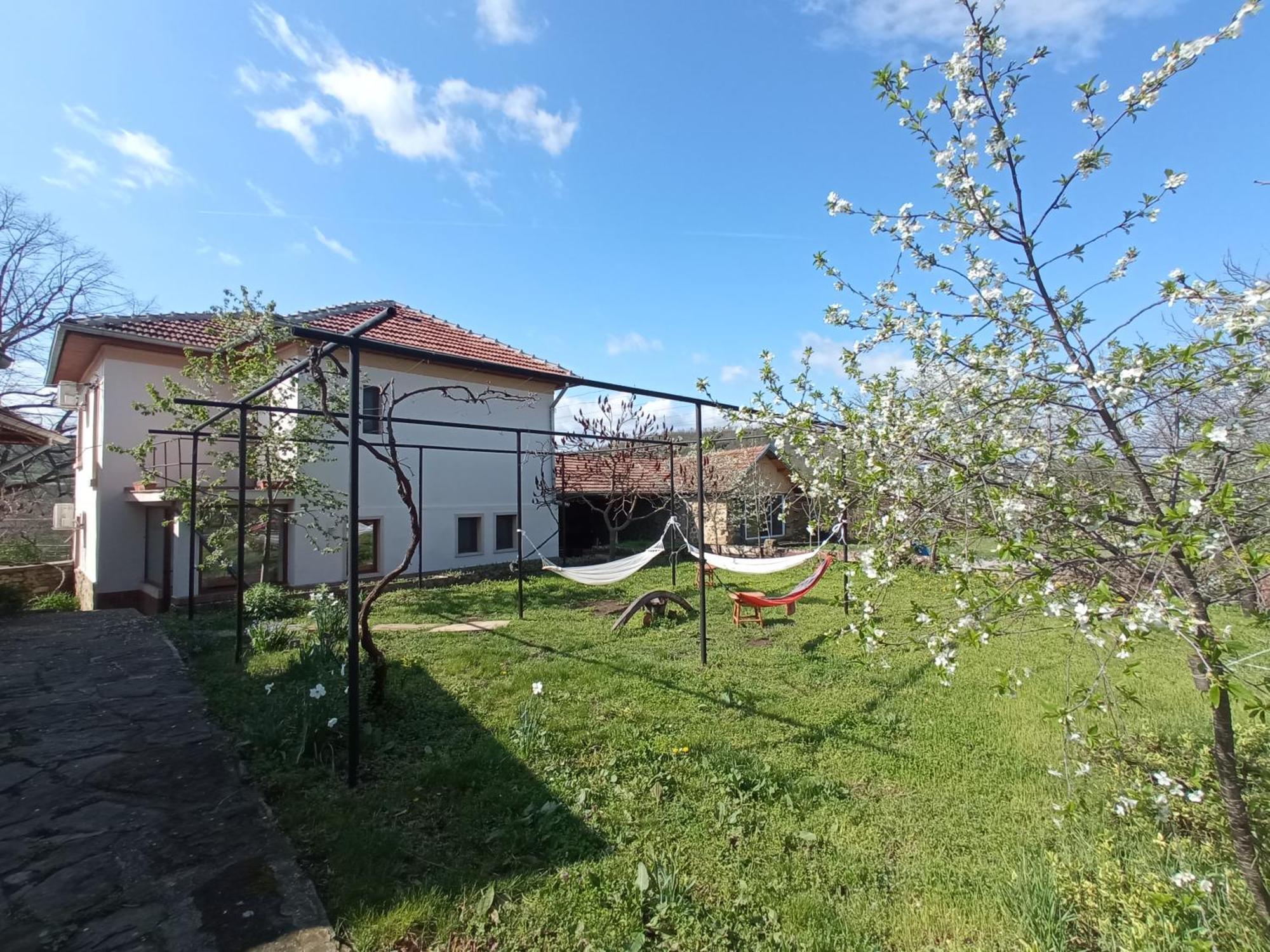 Guest House Art Eco Land Ganchovets Zewnętrze zdjęcie