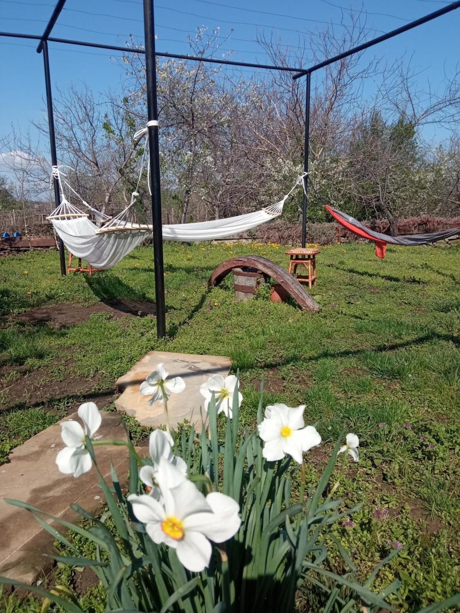 Guest House Art Eco Land Ganchovets Zewnętrze zdjęcie