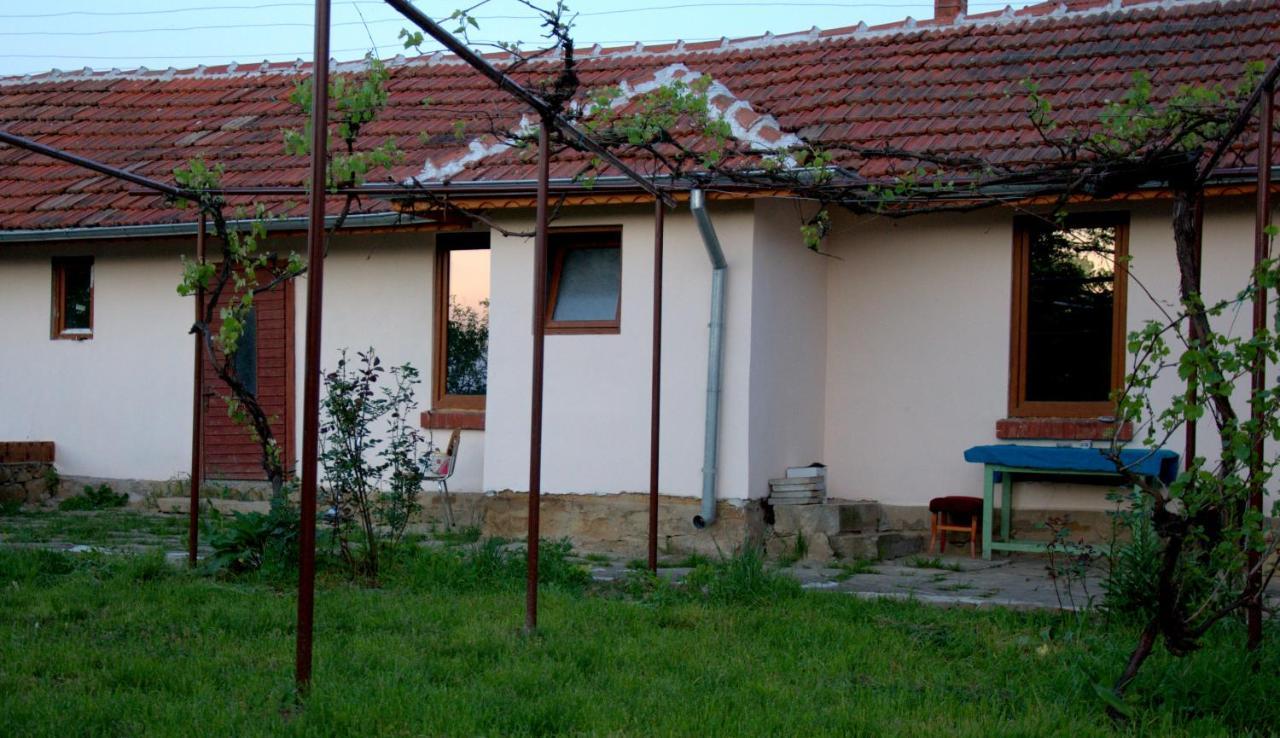 Guest House Art Eco Land Ganchovets Zewnętrze zdjęcie