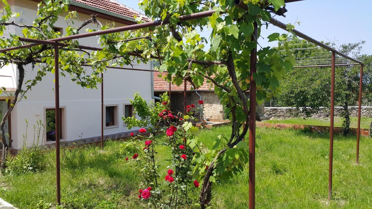 Guest House Art Eco Land Ganchovets Zewnętrze zdjęcie